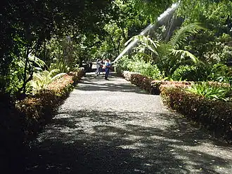 Image illustrative de l’article Jardin d'acclimatation de La Orotava