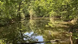 Laquet de Lutché