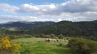 Bouderbala