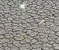 Sol inculte recouvert de boue
