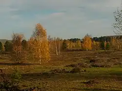 Couleurs d'automne.