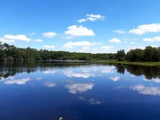 Vue d'ensemble