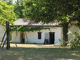 Hôtellerie, dans une ferme landaise avec treille.