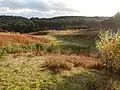 Bourne Wood&nbsp;(en), qui sert de décor à la bataille de Repos-des-Freux.