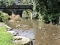 Pont sur le Roc