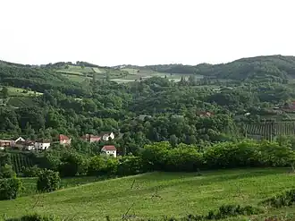 Božurevac