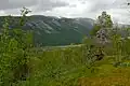 Vallée.