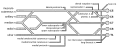Brachial plexus