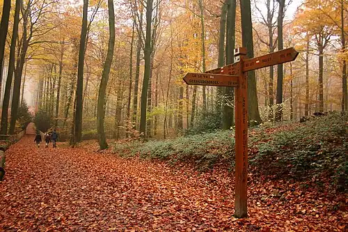 Le GR VA dans le Brakelbos&nbsp;(nl)