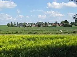 Vue générale.