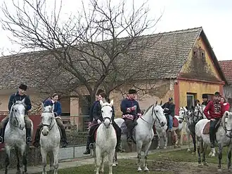 Branjin Vrh