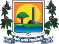 Pau dos Ferros