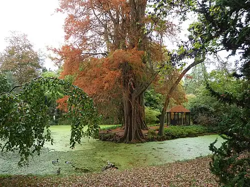 Le jardin d'horticulture.