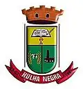 Hulha Negra