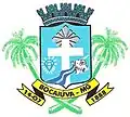 Bocaiúva