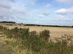 Bocage à Ciron