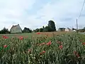La Bergerie.