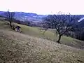 Brezovice - panorama