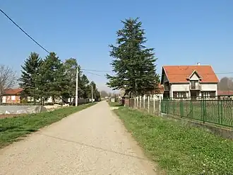 Brgulice