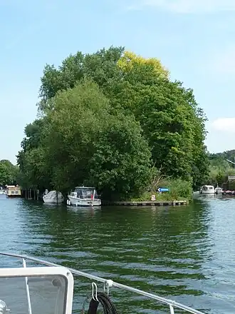 Vue de l'île, le 26 juillet 2008.