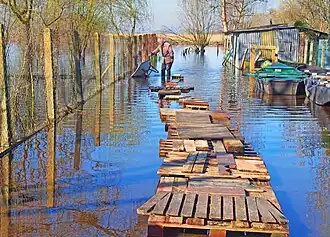 Une "levée" et des chalands de l'île de Fédrun.