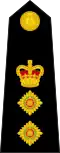 Colonel