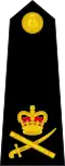 Lieutenant General