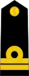 Patte d'épaule