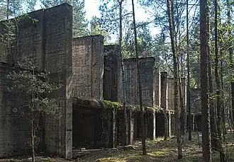 Brożek (Lubusz)