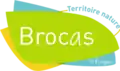 Image illustrative de l’article Brocas