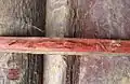 Bois brut de Palo de Sangre (Brosimum rubescens).
