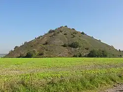Terril