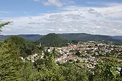 Vue sur Bruyères avec en arrière-plan le point culminant du Borémont.