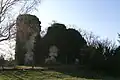 Les ruines du château de Cicé.