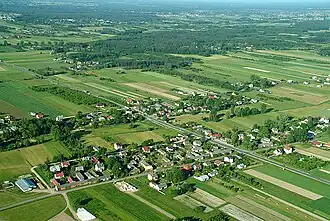 Brzóze