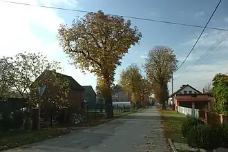 Brzeźce (Opole)