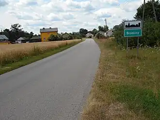 Brzeziny (Ryki)