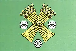 Drapeau de Brzice