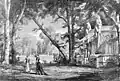 Henry VIII (opéra), Le parc de Richmond, 2e acte, 2e tableau