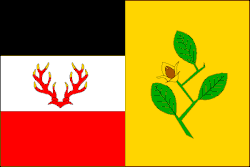 Drapeau de Bučí