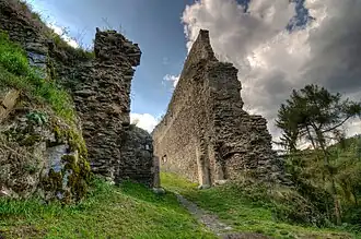 Plešnice