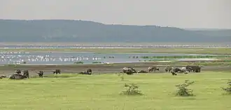 Nakuru