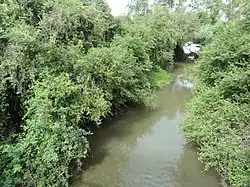 La Roanne.