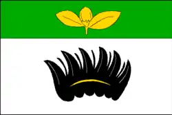 Drapeau de Bukov