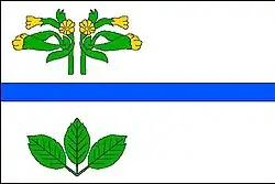 Drapeau de Bukovice
