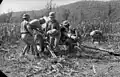 Nebelwerfer en Italie