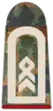 Stabsfeldwebel