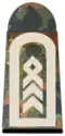 Oberstabsfeldwebel