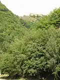La citadelle de Poenari vue du Transfăgărășan