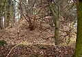 Vestiges du château Zur Alten